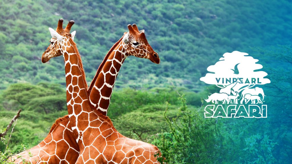 VinPearl-Safari-Phu-Quoc