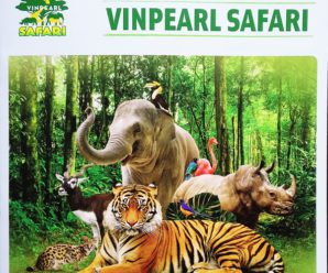 Combo giá vé vui chơi Vinpearl Land (Vinwonders) & Vinpearl Safari chỉ từ 850.000 (Khách đoàn lớn liên hệ thêm)