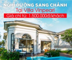 Siêu khuyến mãi dành cho cả gia đình khi đặt phòng, villa tại Vinpearl Discovery Phú Quốc, Nha Trang
