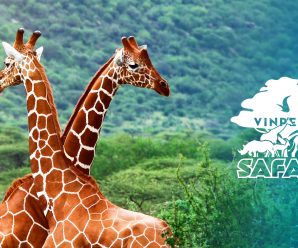 VINPEARL SAFARI PHÚ QUỐC – Trải nghiệm thế giới động vật